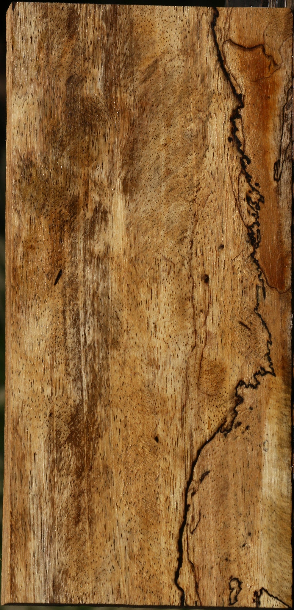 Figured Spalted Tamarind Lumber