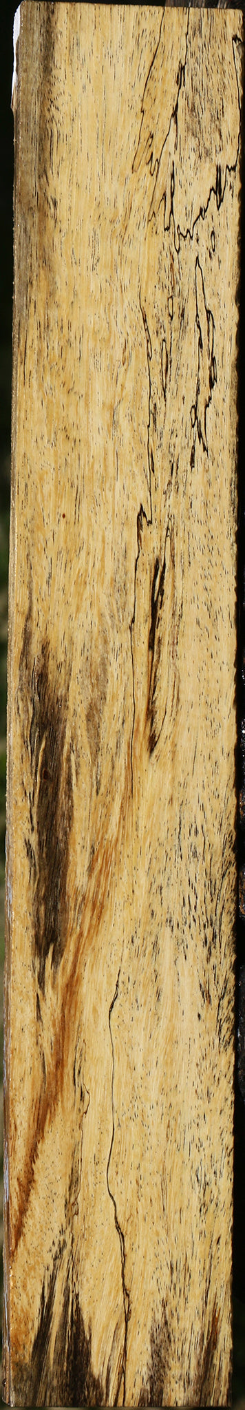 Figured Spalted Tamarind Lumber