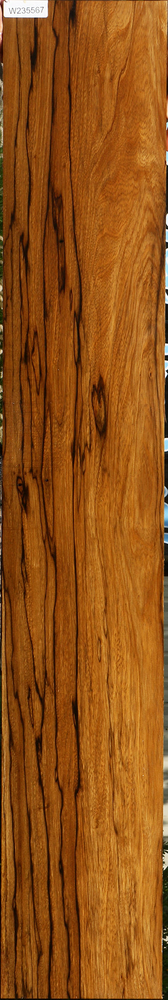 Extra Fancy Branquilho Lumber