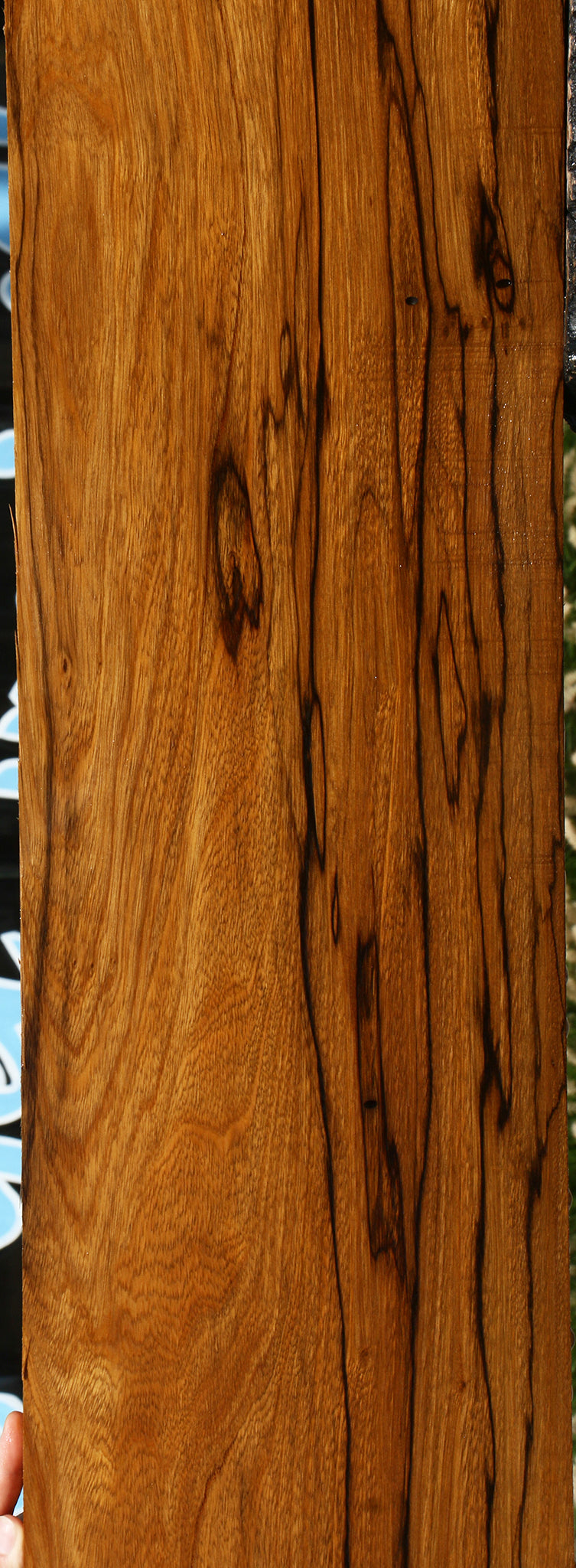 Extra Fancy Branquilho Lumber