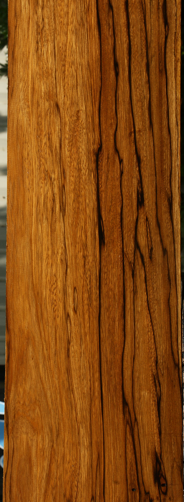 Extra Fancy Branquilho Lumber