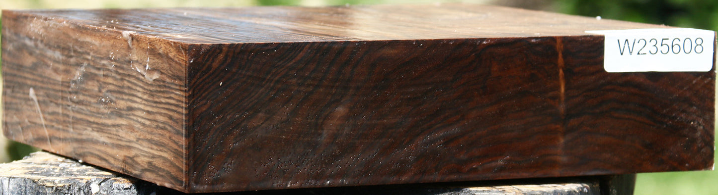 Extra Fancy English Walnut Bowl Blank