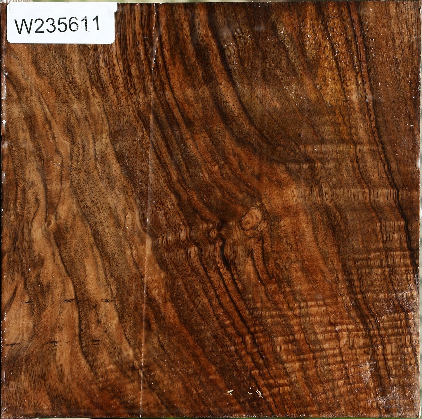 Extra Fancy English Walnut Bowl Blank