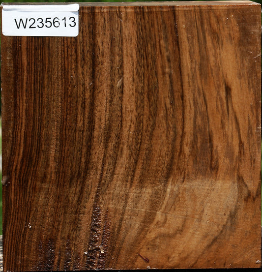 Extra Fancy English Walnut Bowl Blank