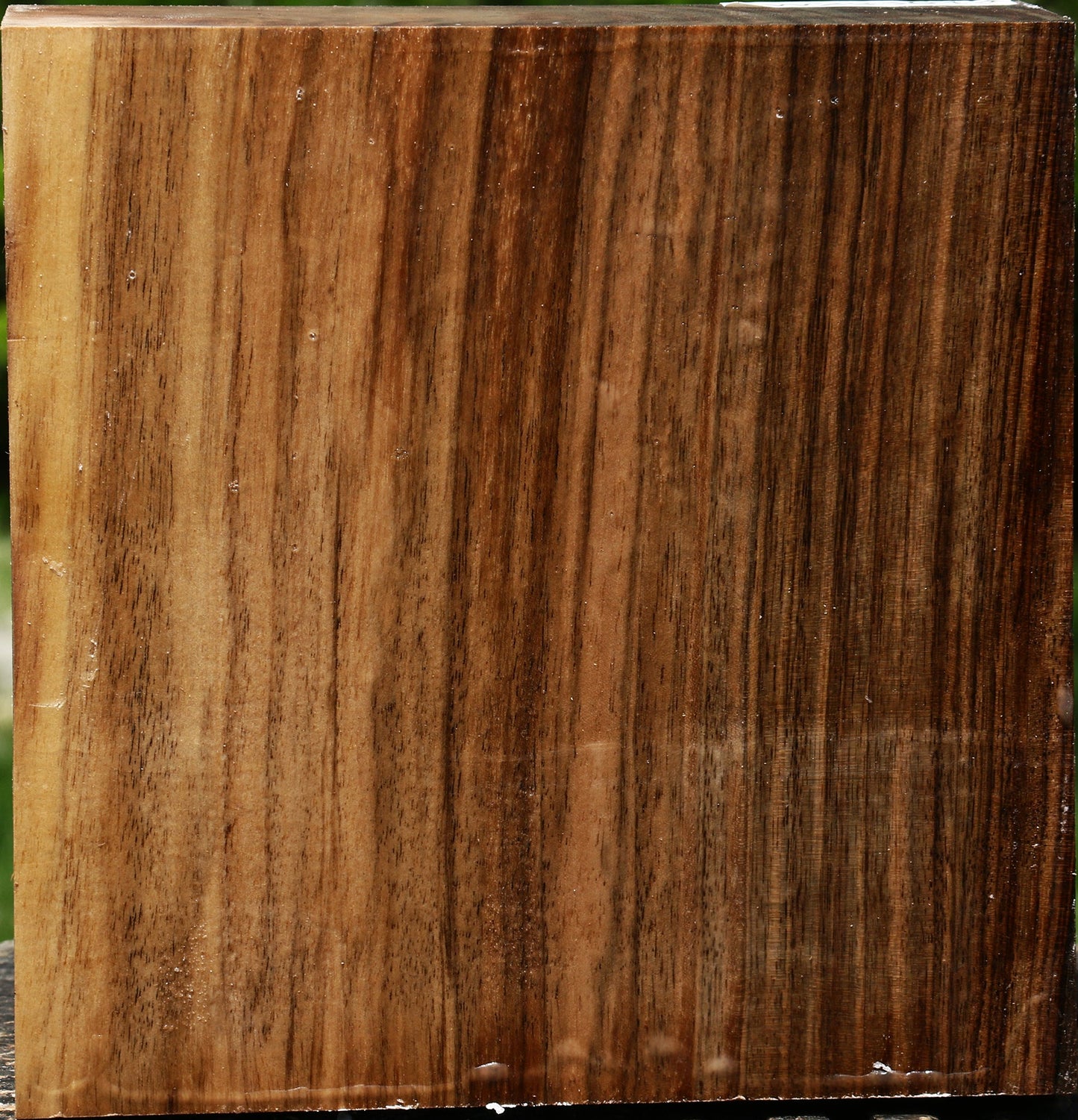 Extra Fancy English Walnut Bowl Blank