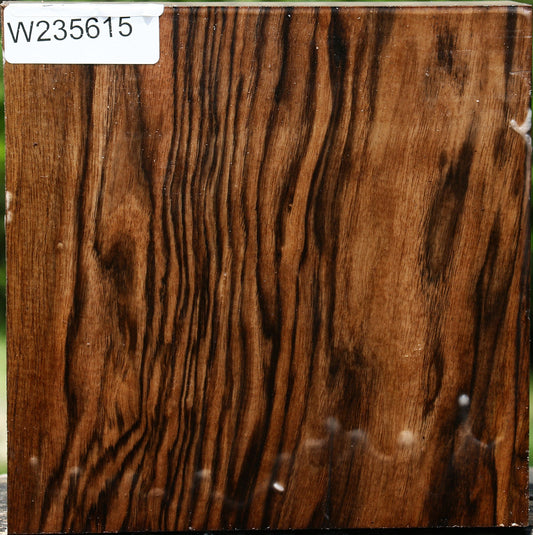 Extra Fancy English Walnut Bowl Blank