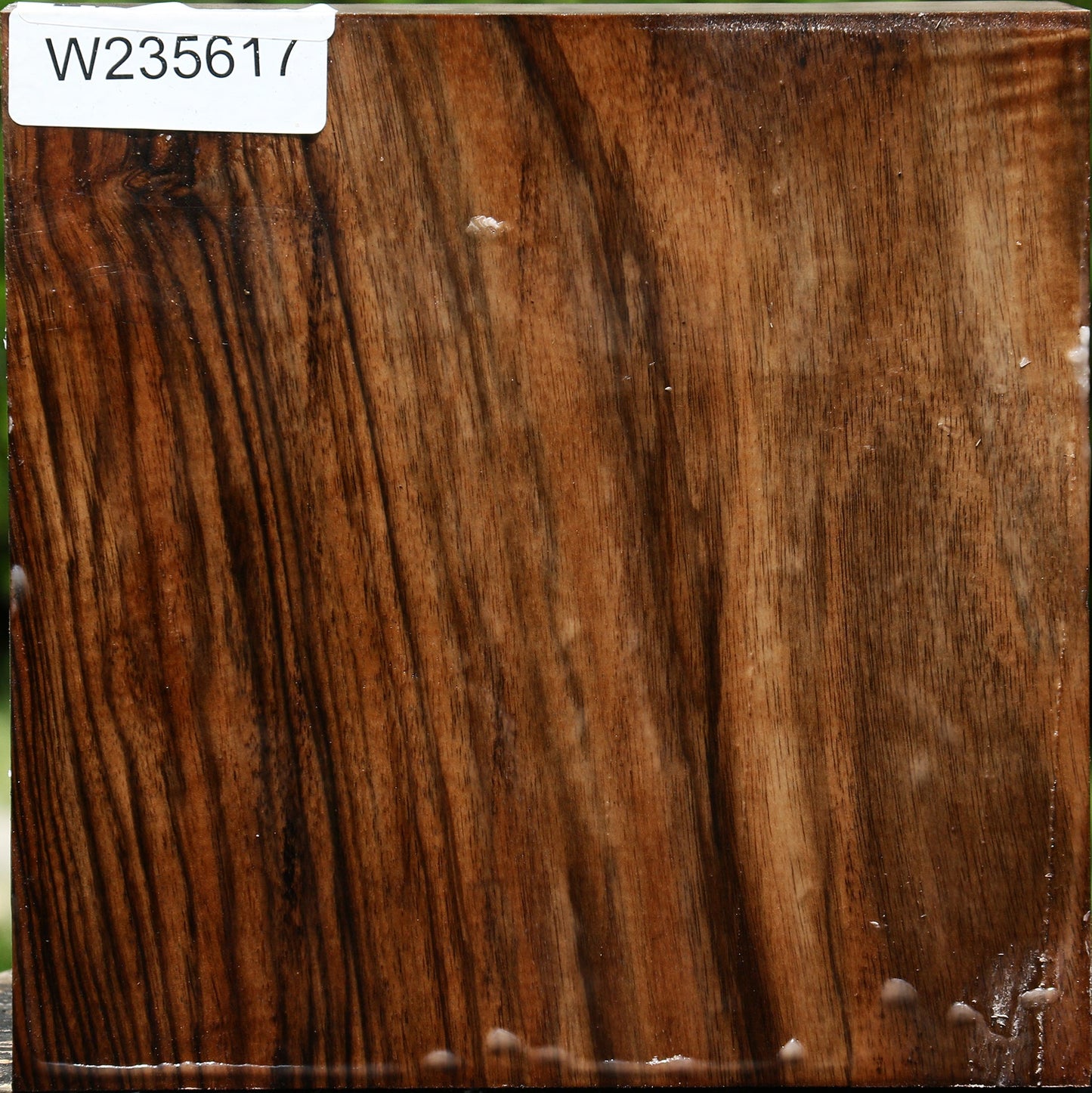 Extra Fancy English Walnut Bowl Blank