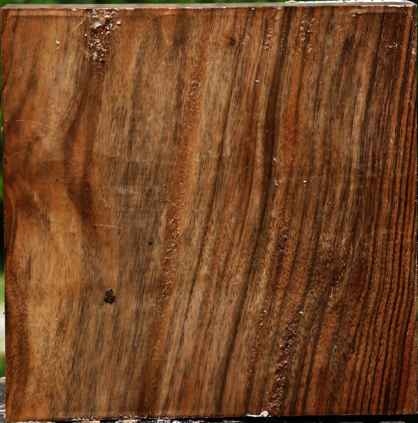 Extra Fancy English Walnut Bowl Blank