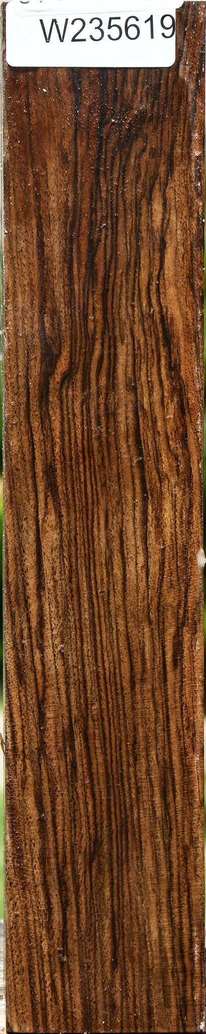 Extra Fancy English Walnut Forend