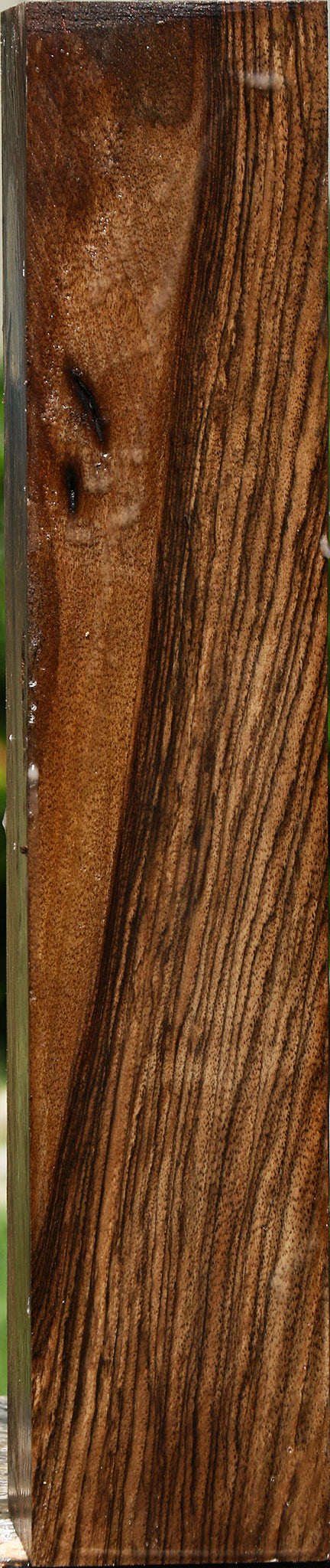 Extra Fancy English Walnut Forend