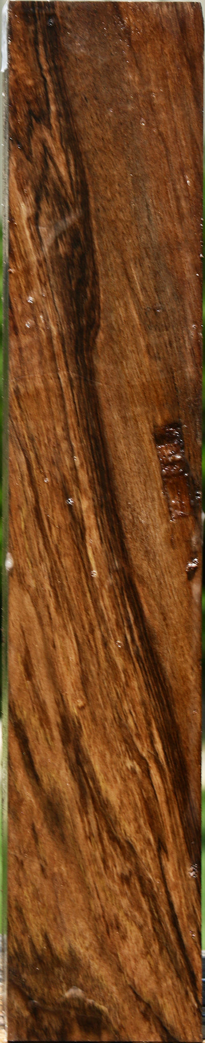 Extra Fancy English Walnut Forend