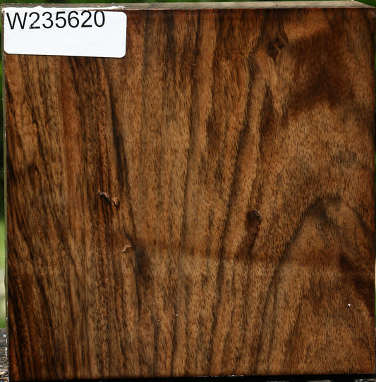 Figured English Walnut Bowl Blank