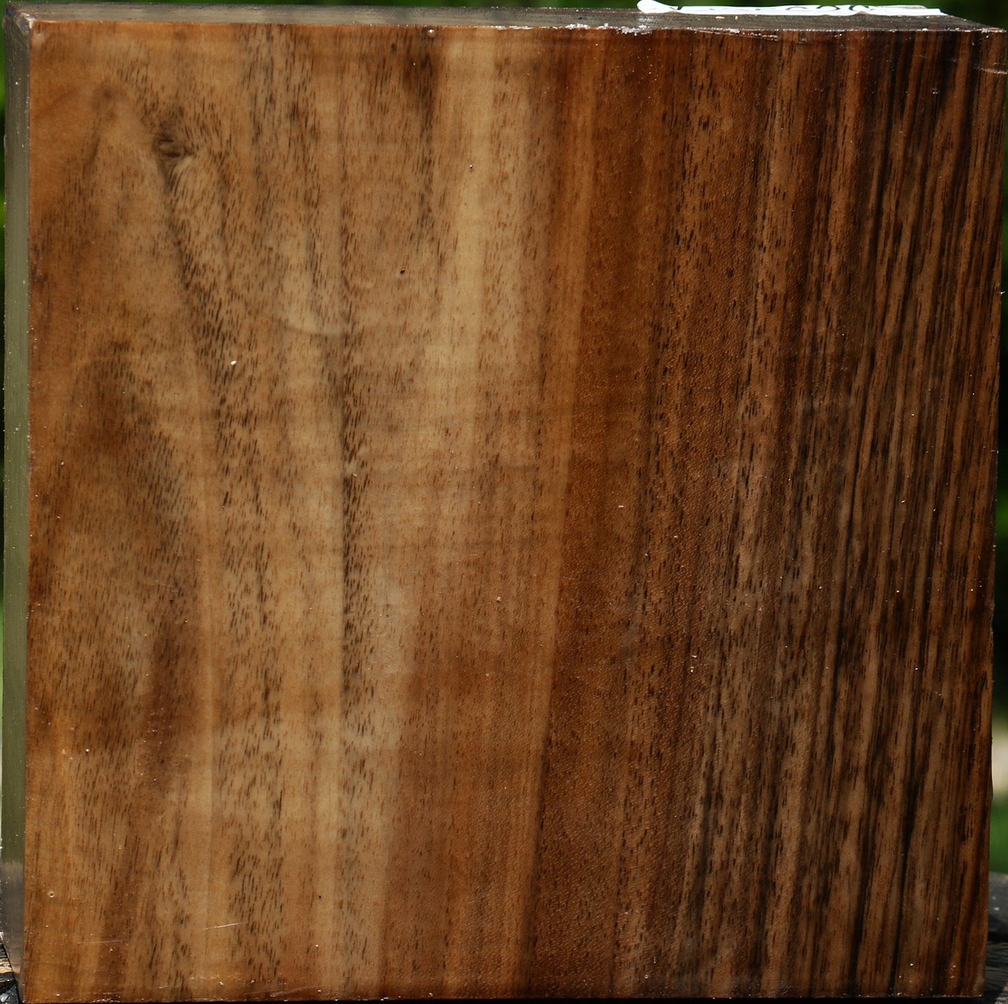 Figured English Walnut Bowl Blank