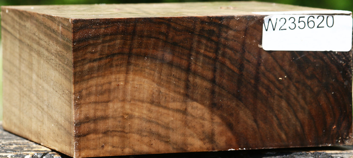 Figured English Walnut Bowl Blank