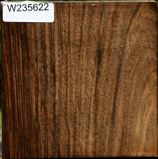 Figured English Walnut Bowl Blank