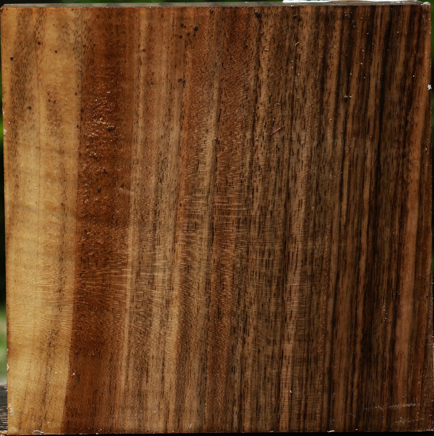 Figured English Walnut Bowl Blank