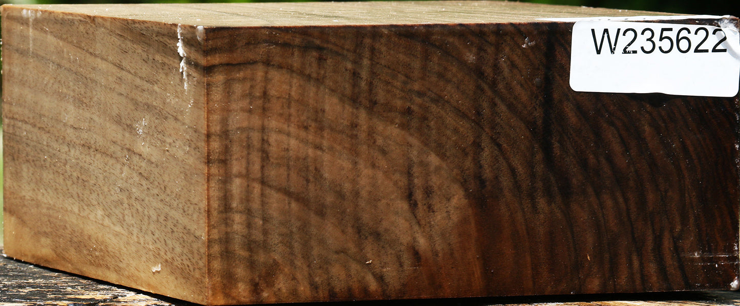 Figured English Walnut Bowl Blank