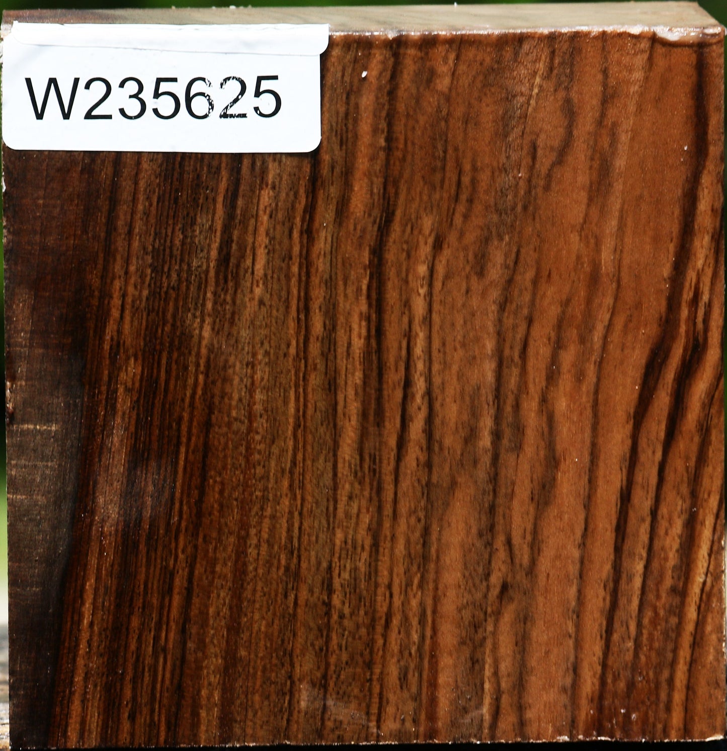 Figured English Walnut Bowl Blank