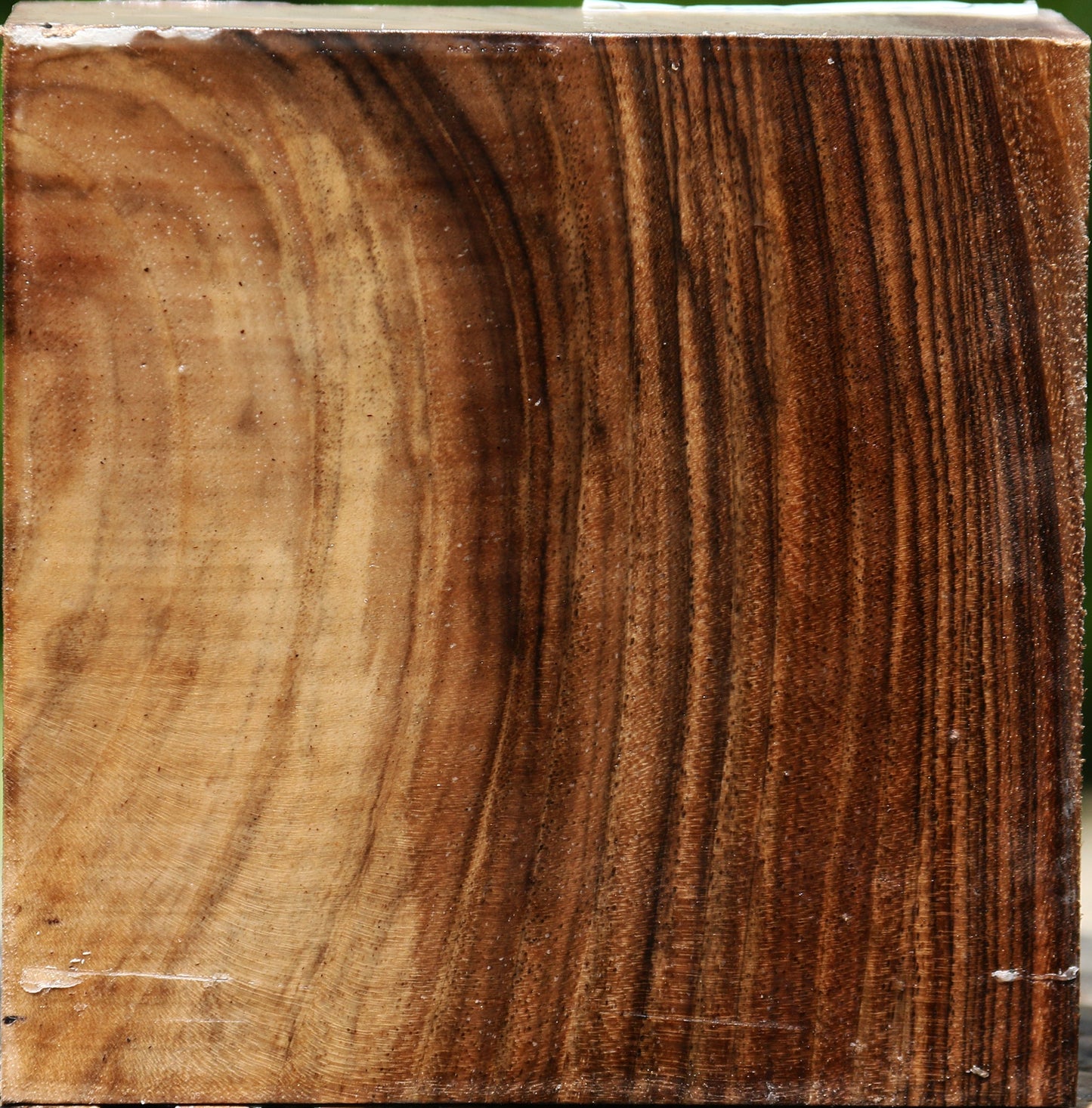 Figured English Walnut Bowl Blank