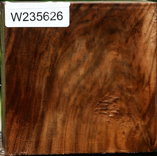 Figured English Walnut Bowl Blank