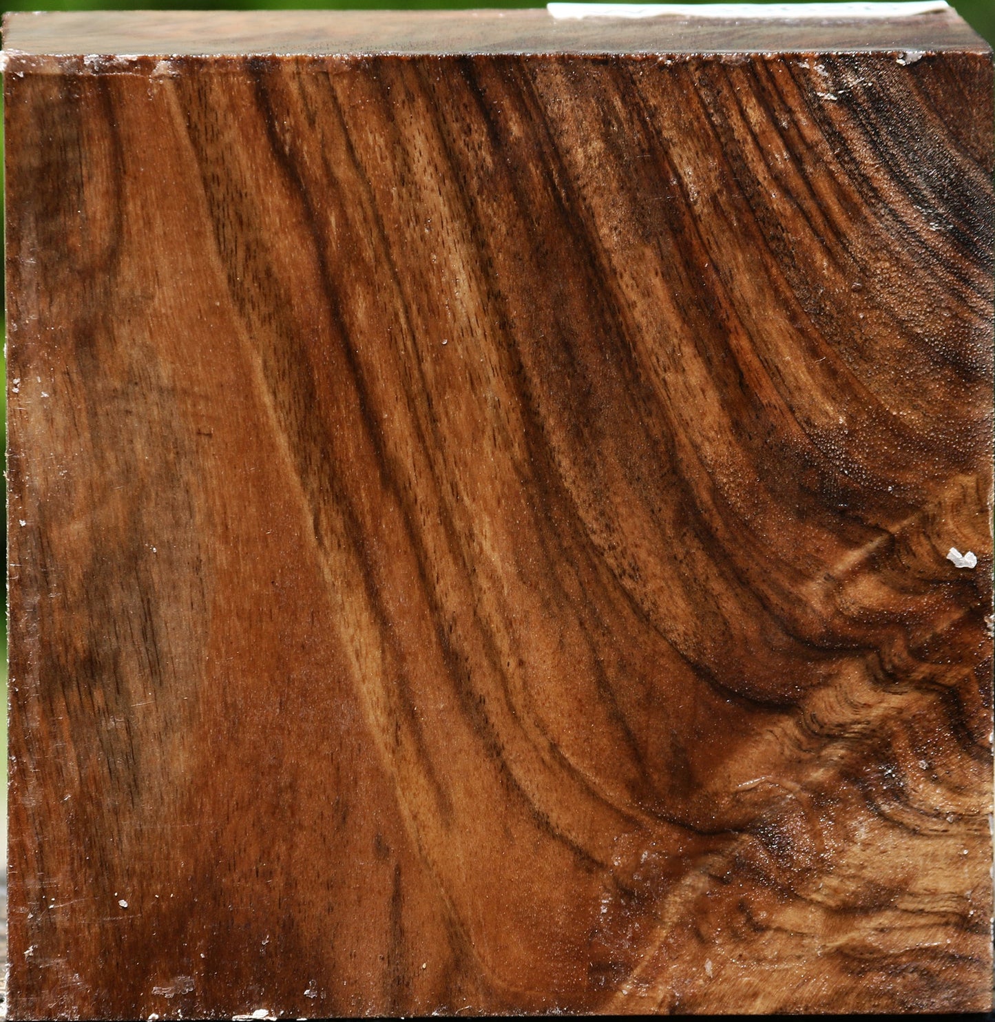 Figured English Walnut Bowl Blank