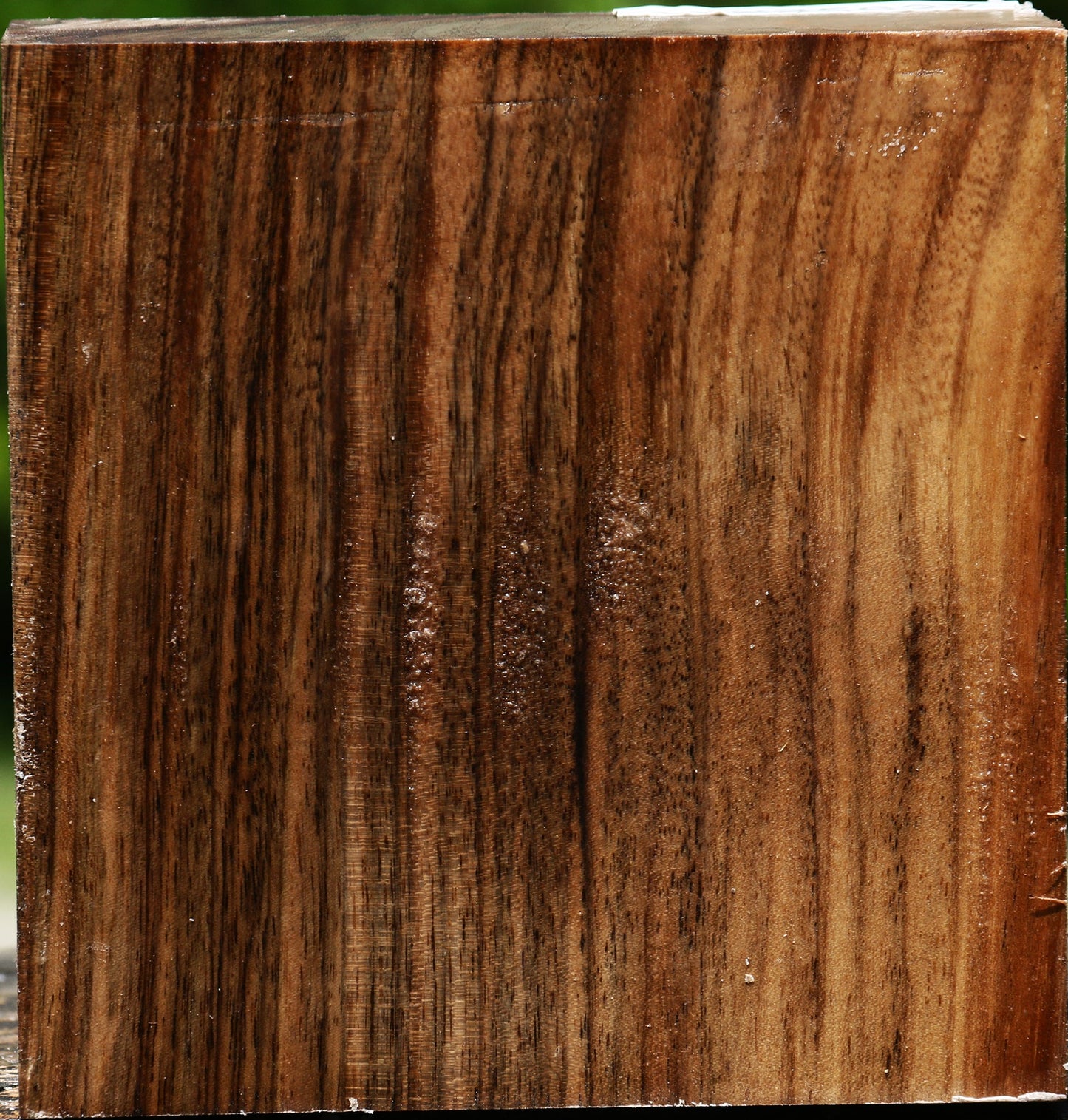 Extra Fancy Quartersawn English Walnut Bowl Blank