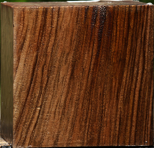 Figured English Walnut Bowl Blank