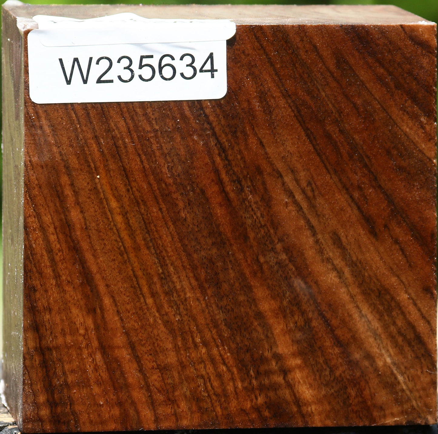 Figured English Walnut Bowl Blank