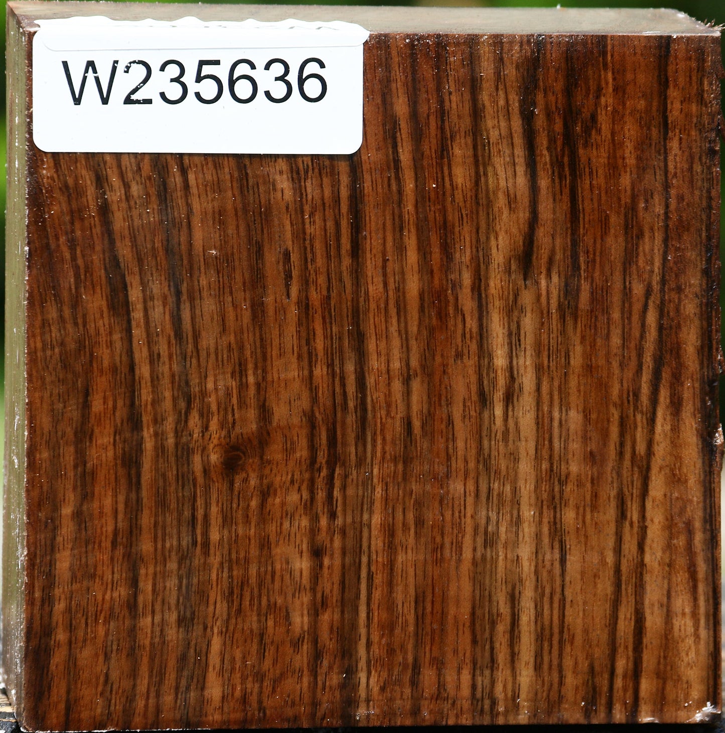 Extra Fancy English Walnut Bowl Blank