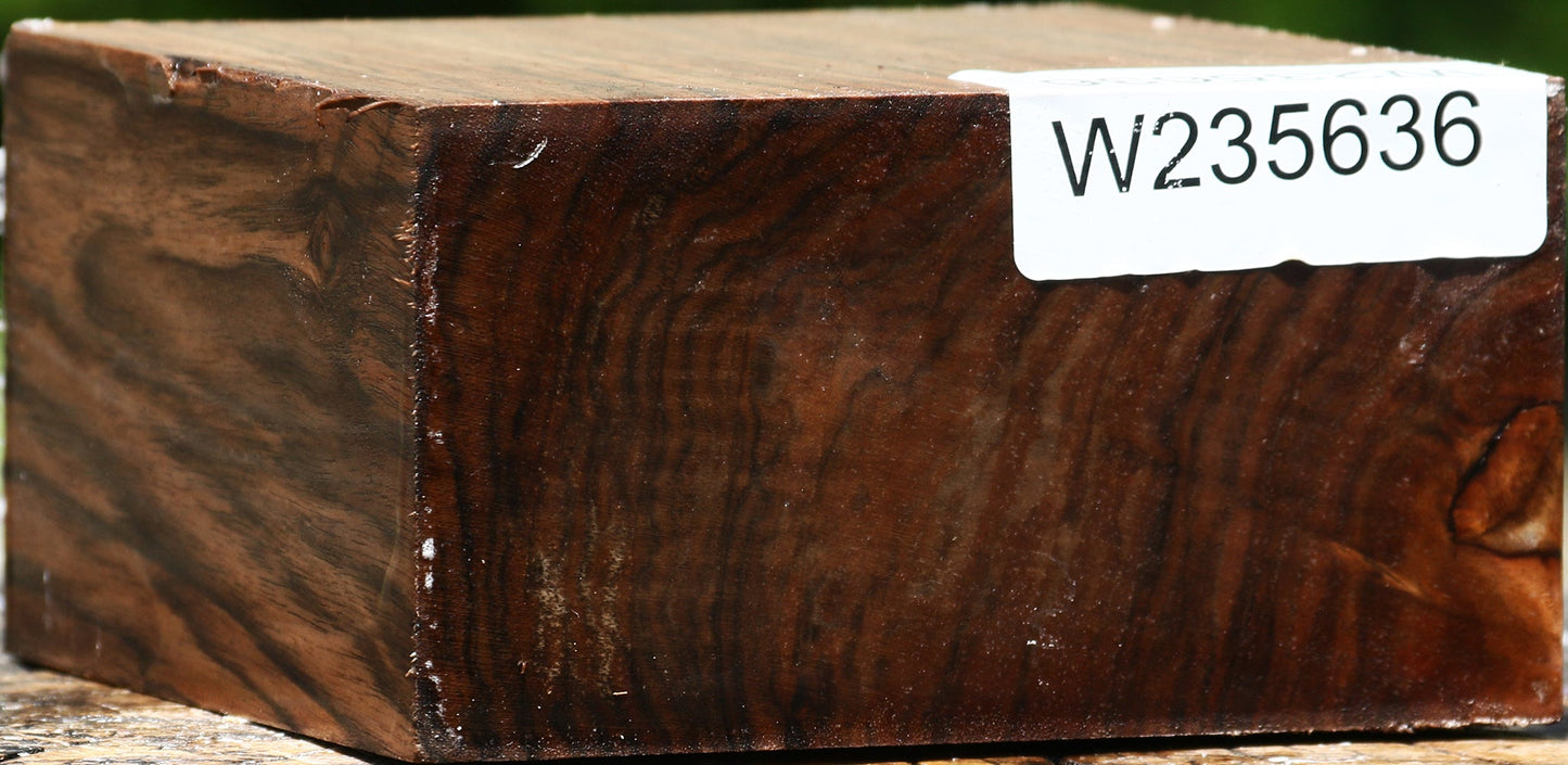 Extra Fancy English Walnut Bowl Blank