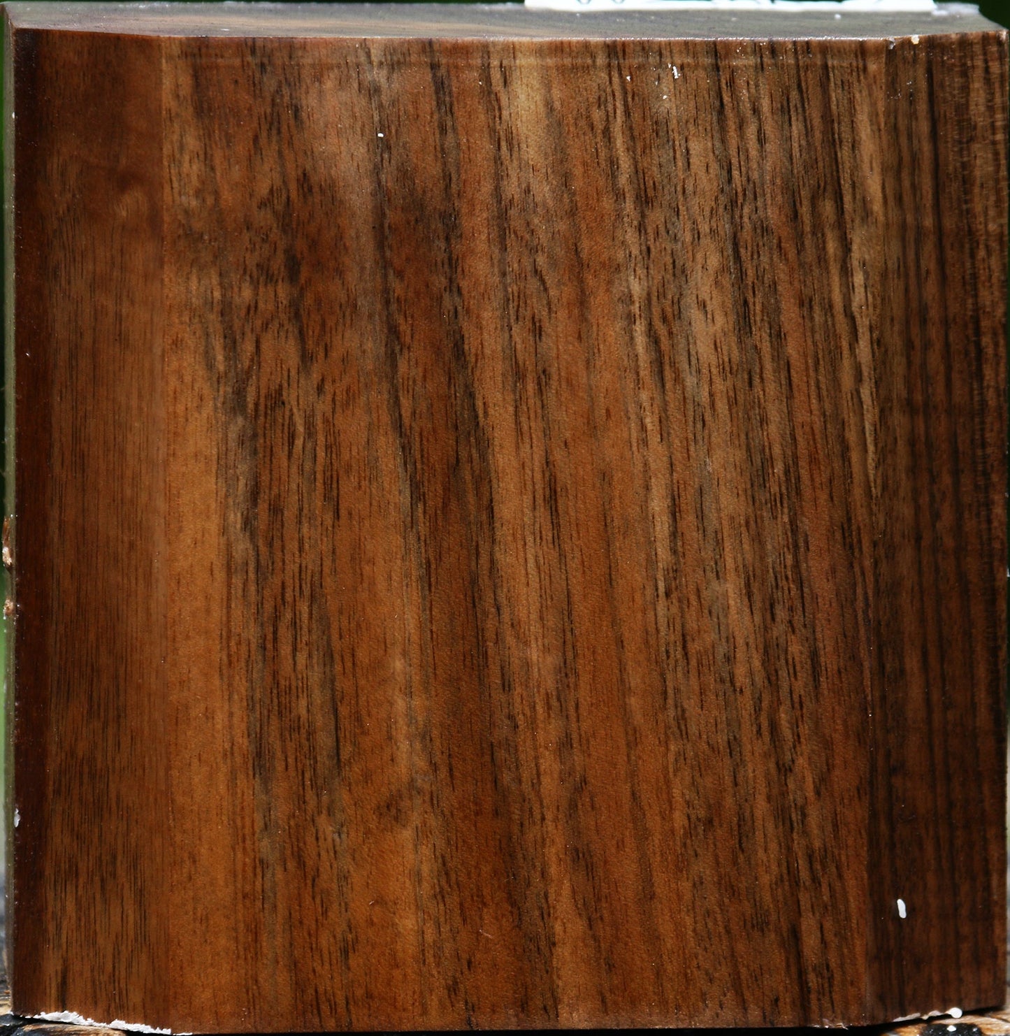 Extra Fancy English Walnut Bowl Blank