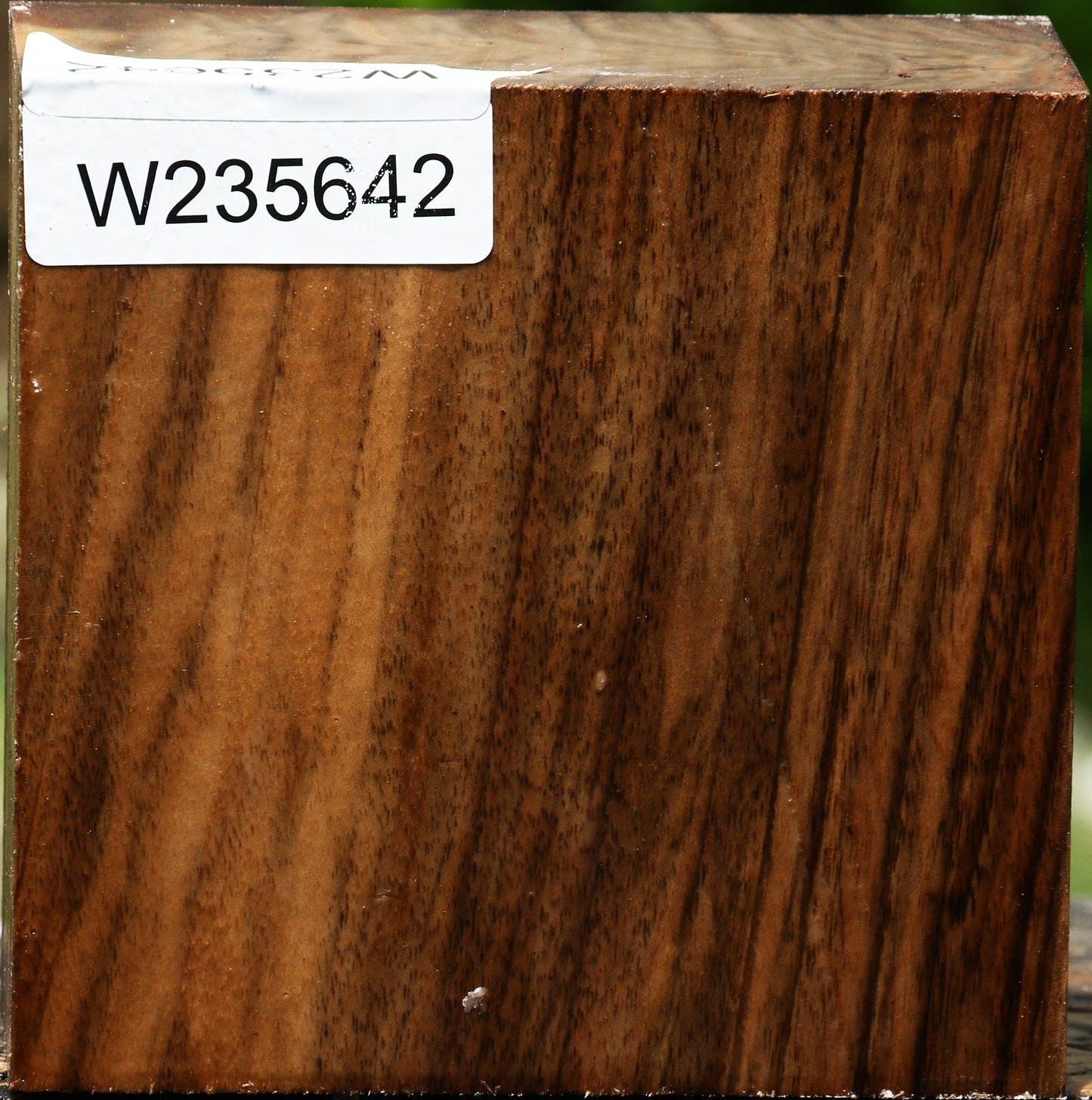 Extra Fancy English Walnut Bowl Blank