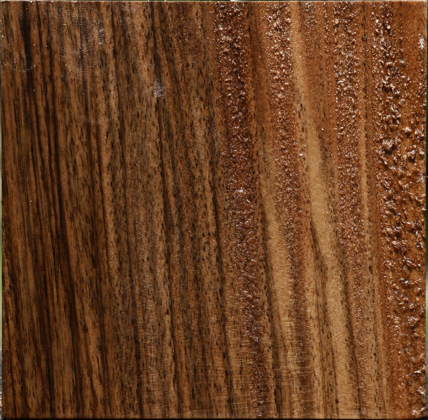 Extra Fancy English Walnut Bowl Blank