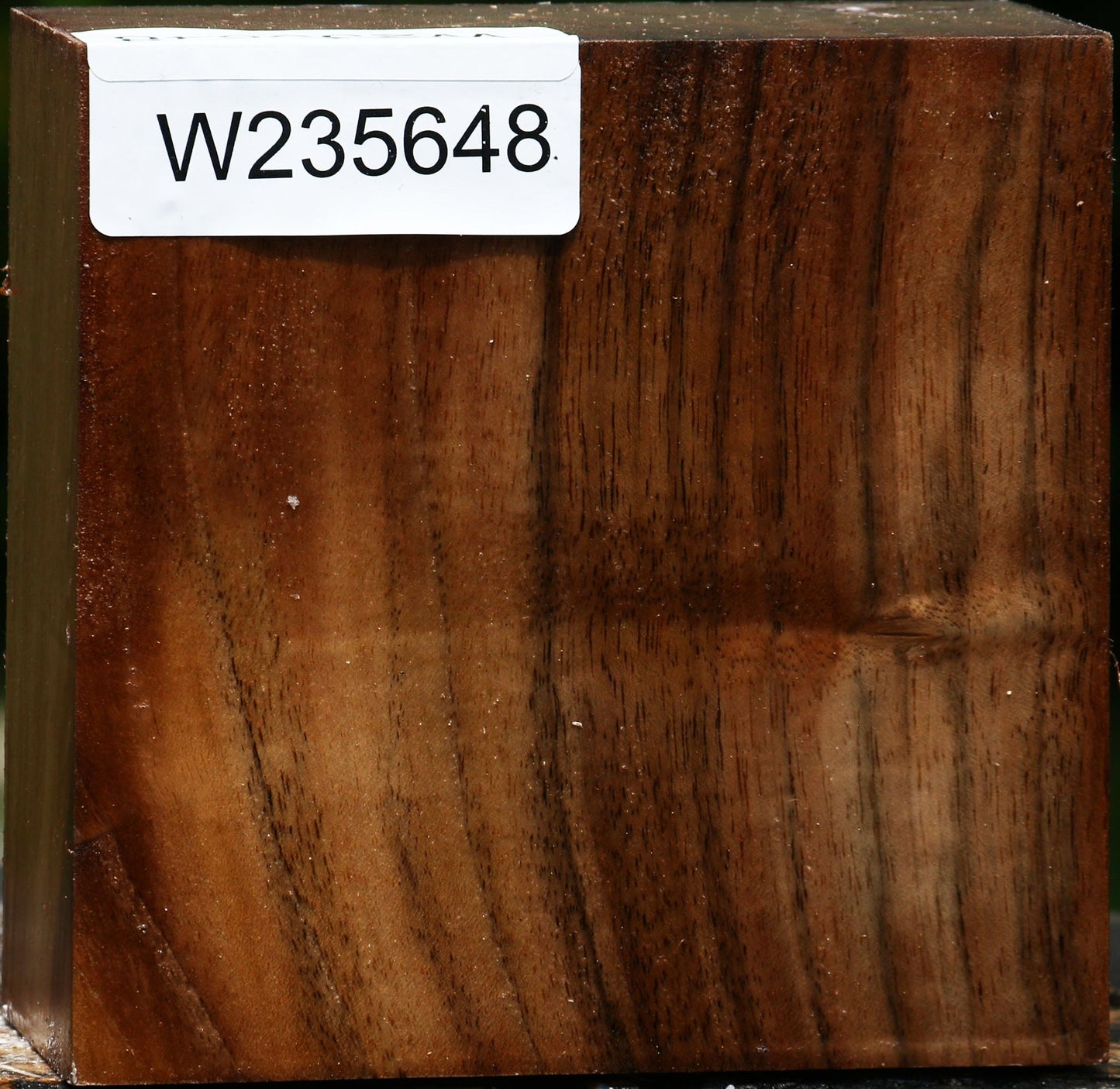 English Walnut Bowl Blank