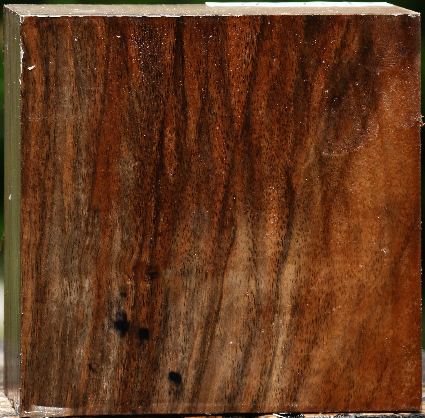 English Walnut Bowl Blank