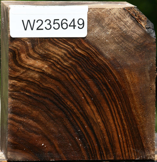 Extra Fancy English Walnut Bowl Blank