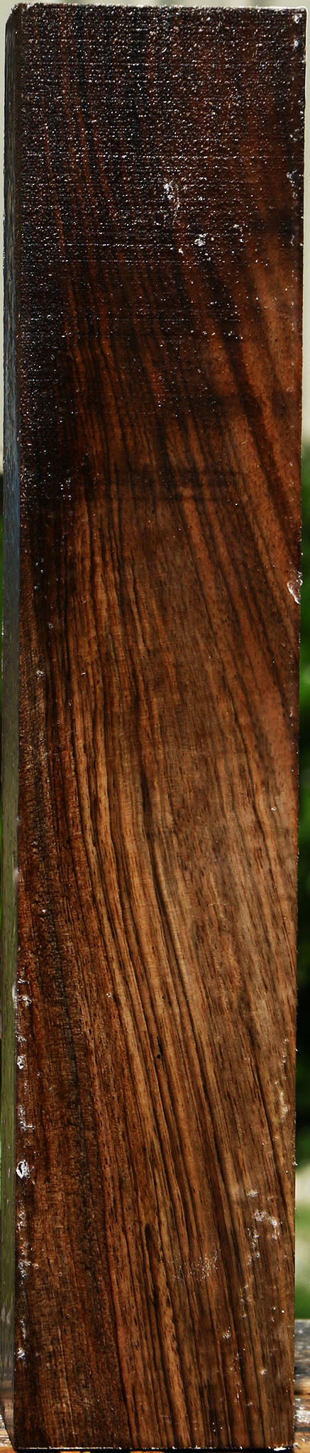 Figured English Walnut Forend