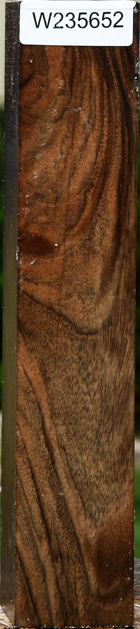 Figured English Walnut Forend