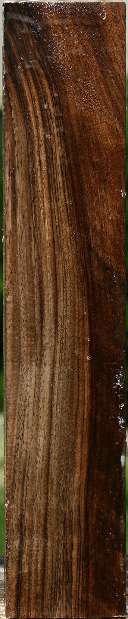 Figured English Walnut Forend