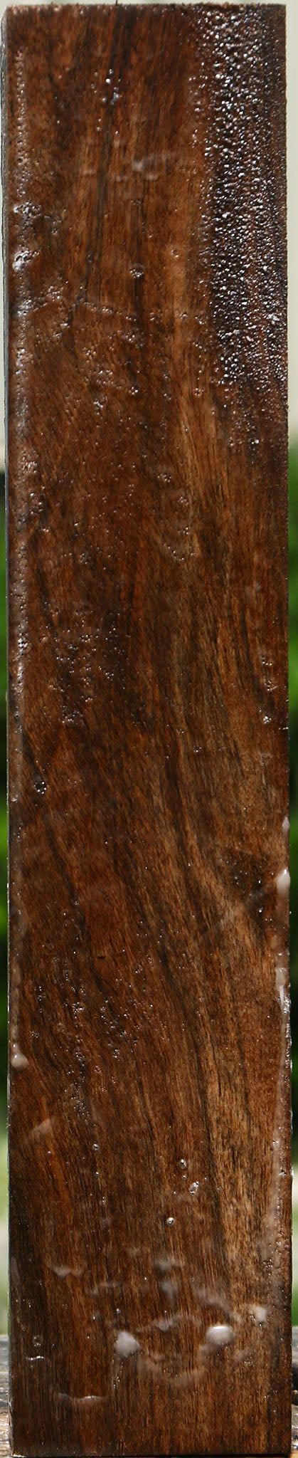 Figured English Walnut Forend