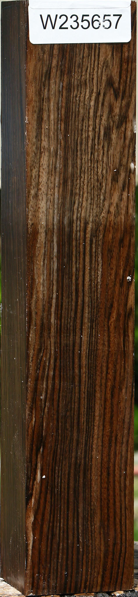 Extra Fancy English Walnut Forend