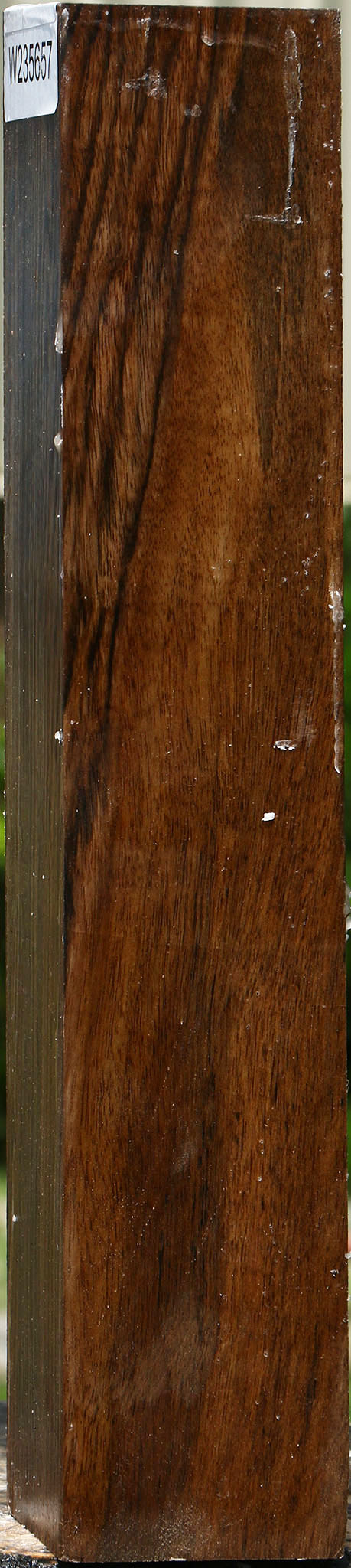 Extra Fancy English Walnut Forend