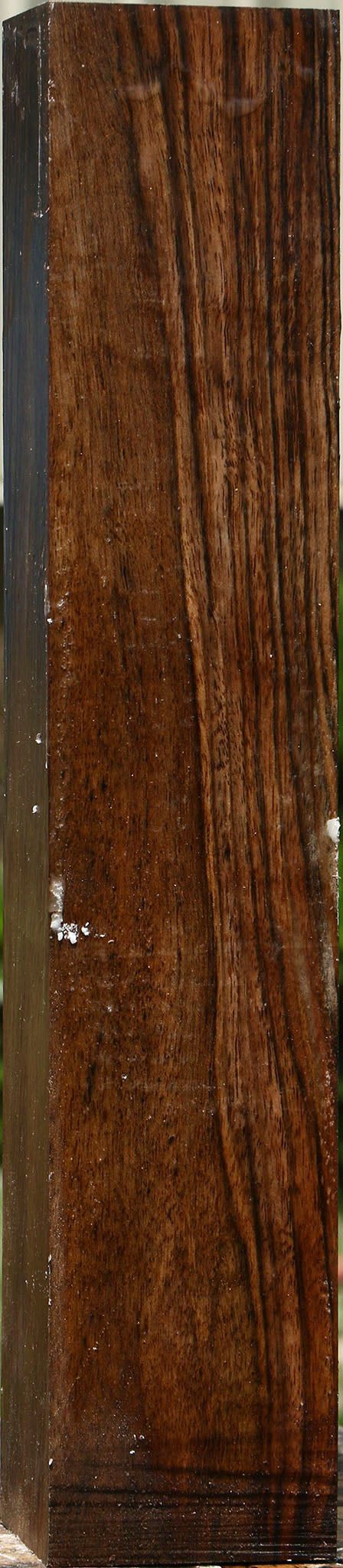 Extra Fancy English Walnut Forend