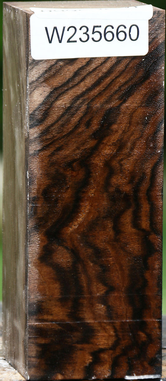 Extra Fancy English Walnut Turning Square