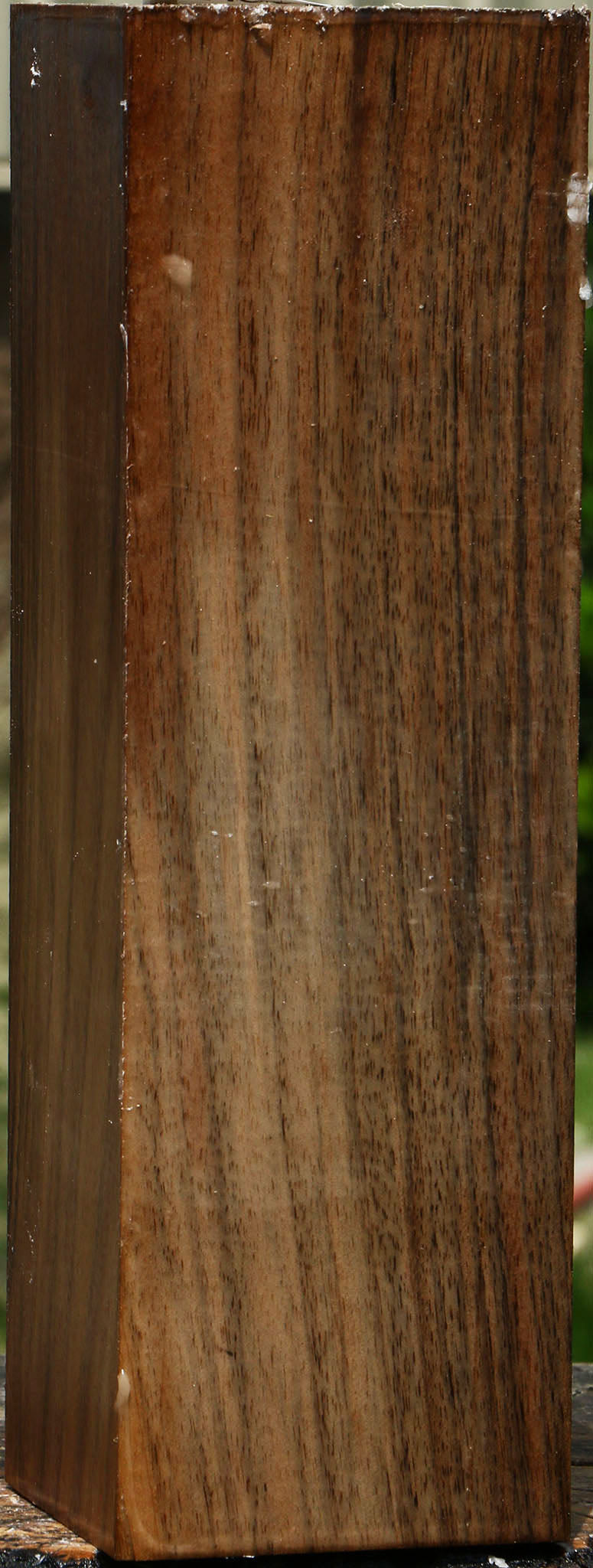 Figured English Walnut Peppermill