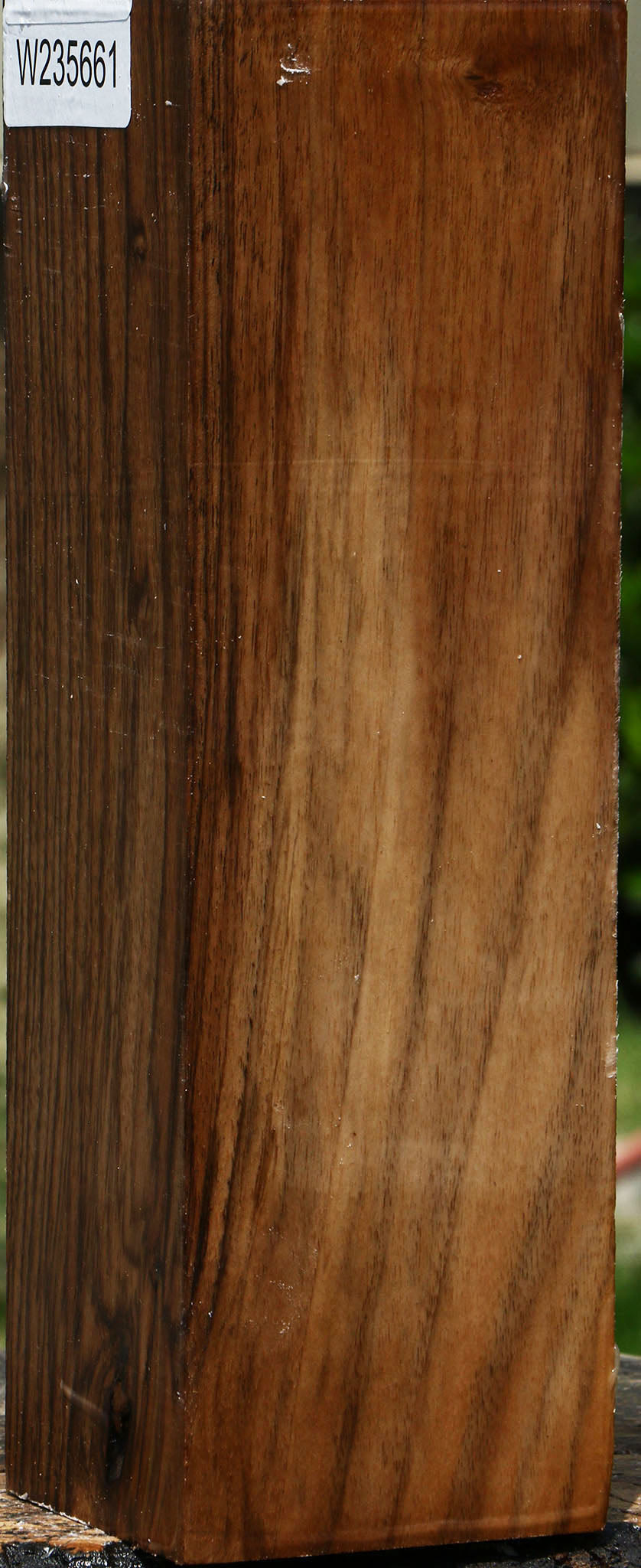 Figured English Walnut Peppermill