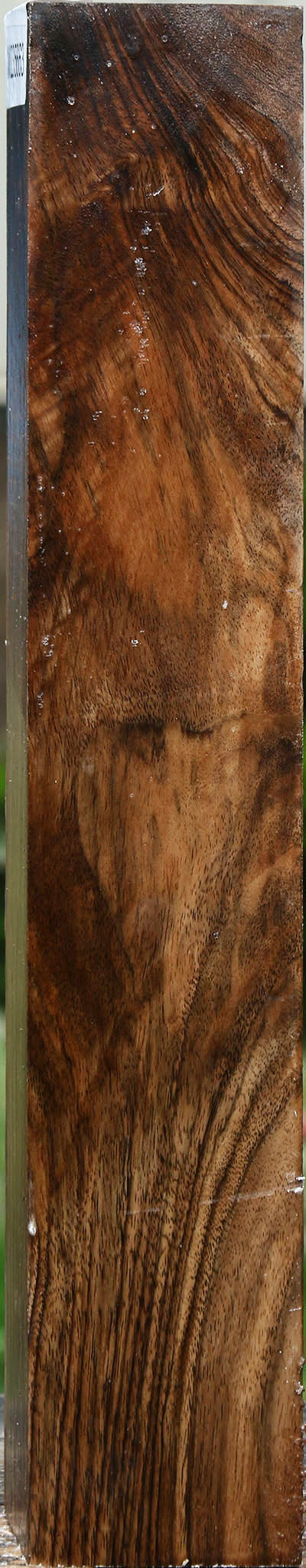 Extra Fancy English Walnut Forend