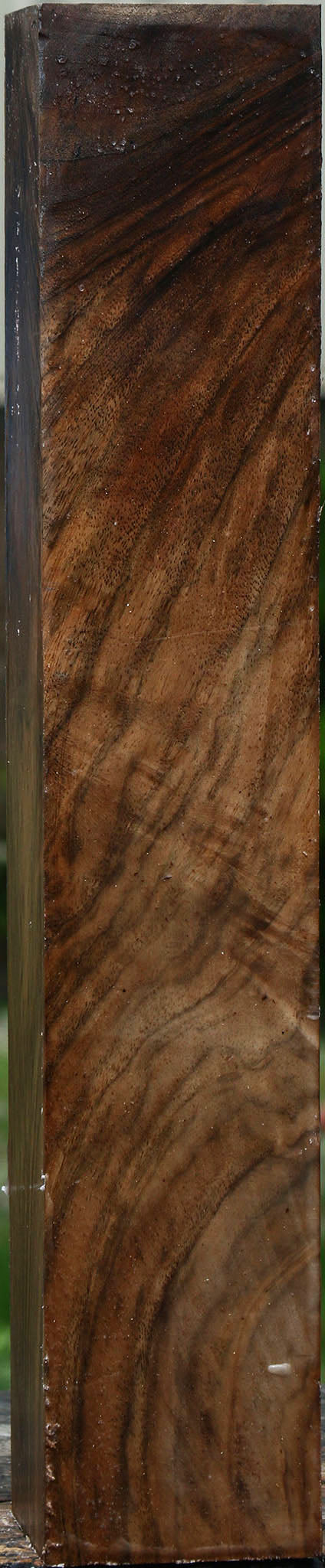 Extra Fancy English Walnut Forend