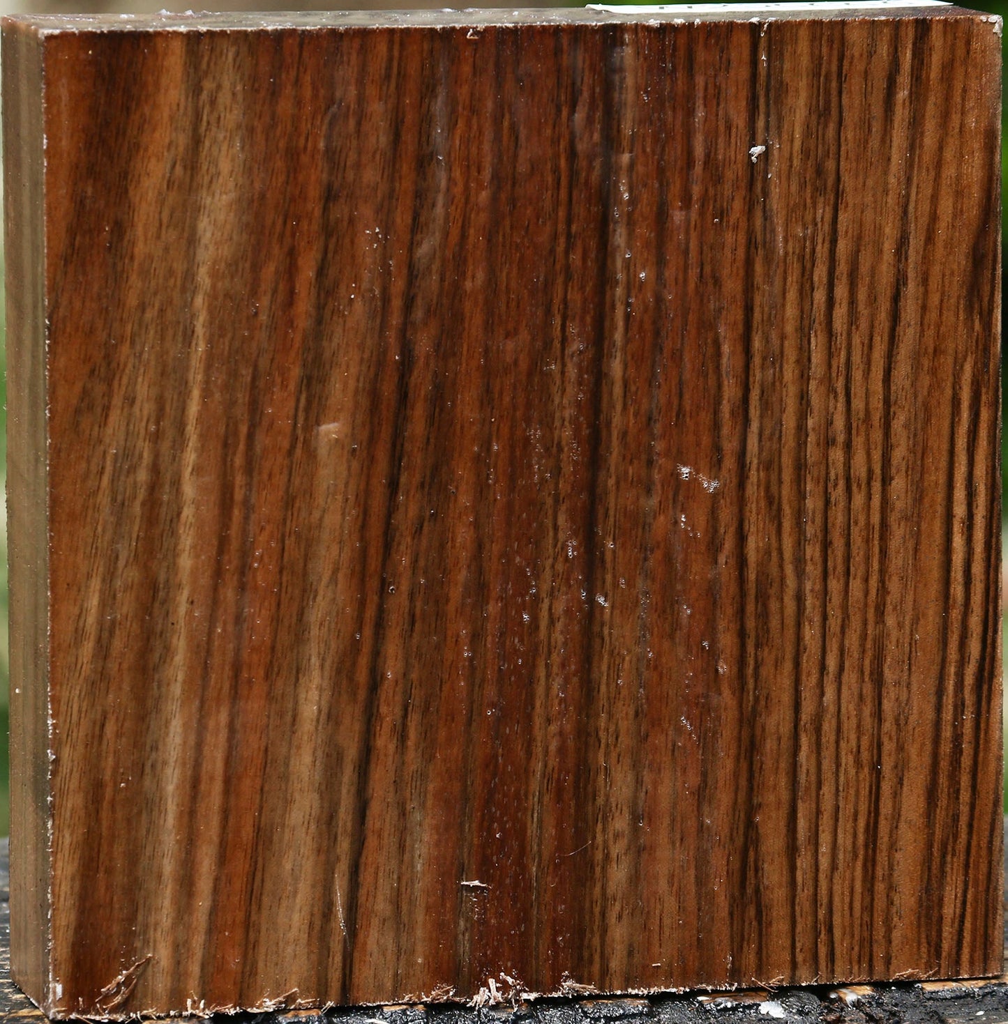 Figured English Walnut Bowl Blank