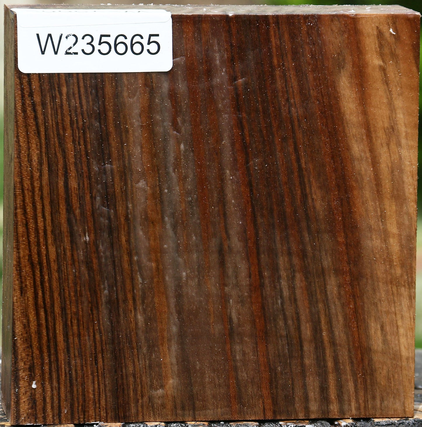 Figured English Walnut Bowl Blank